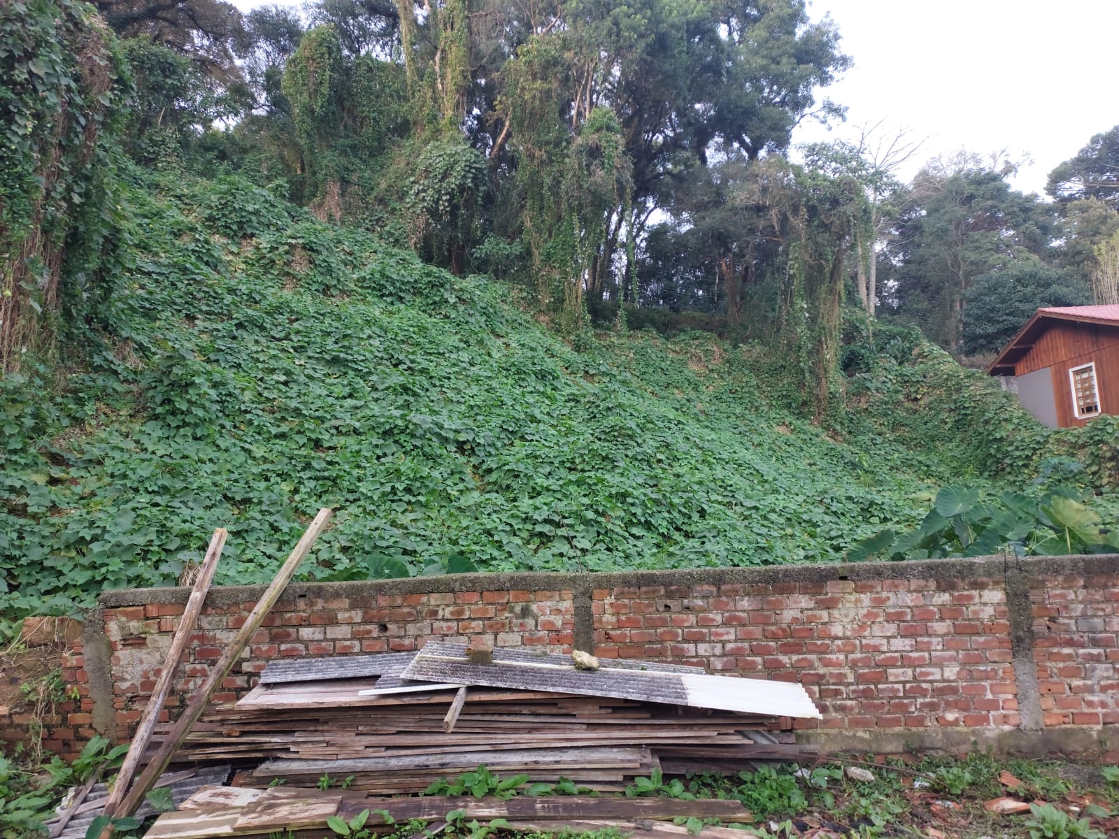 Foto 2 — Terreno na Rua Paulo Pampuche, Campo Comprido, Curitiba