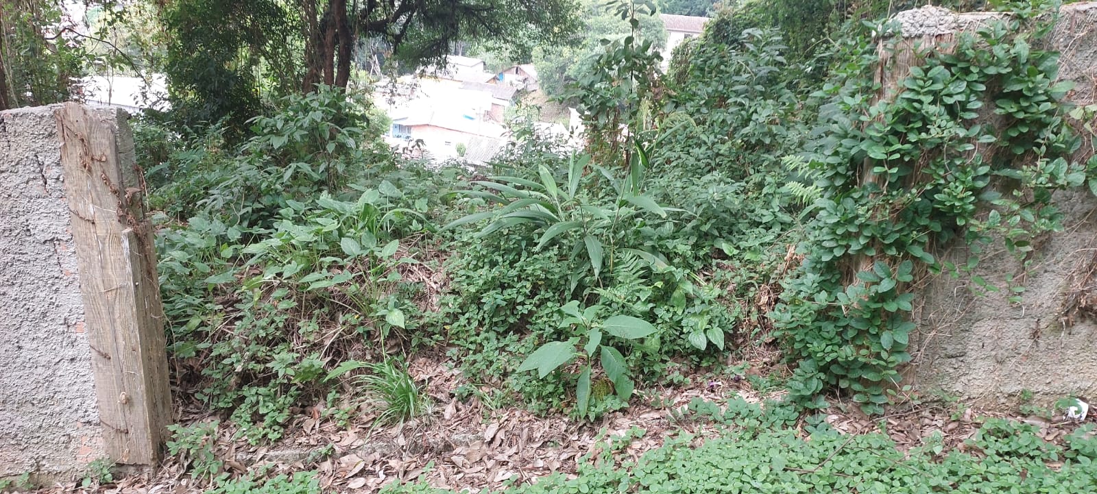 Foto 6 — Terreno na Rua Paulo Pampuche, Campo Comprido, Curitiba