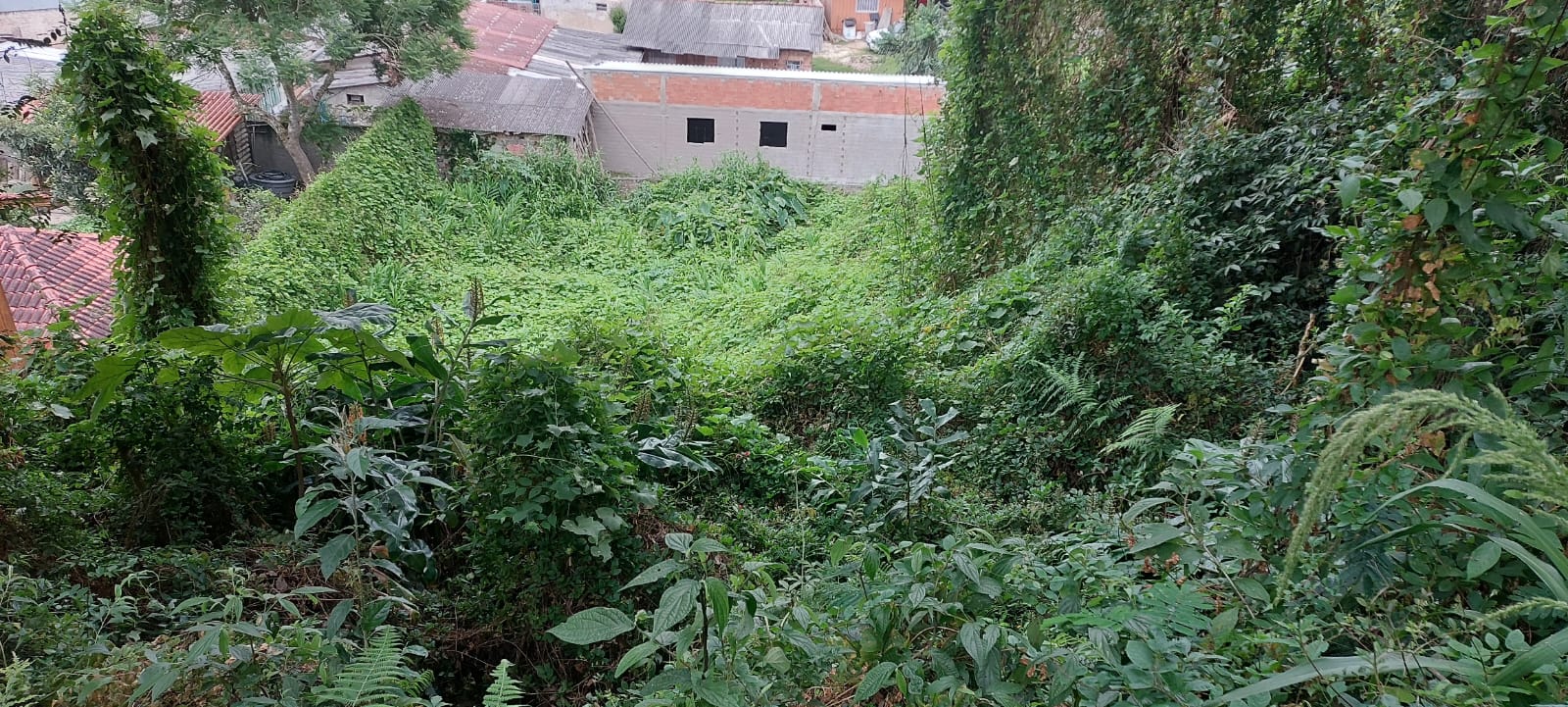 Foto 5 — Terreno na Rua Paulo Pampuche, Campo Comprido, Curitiba
